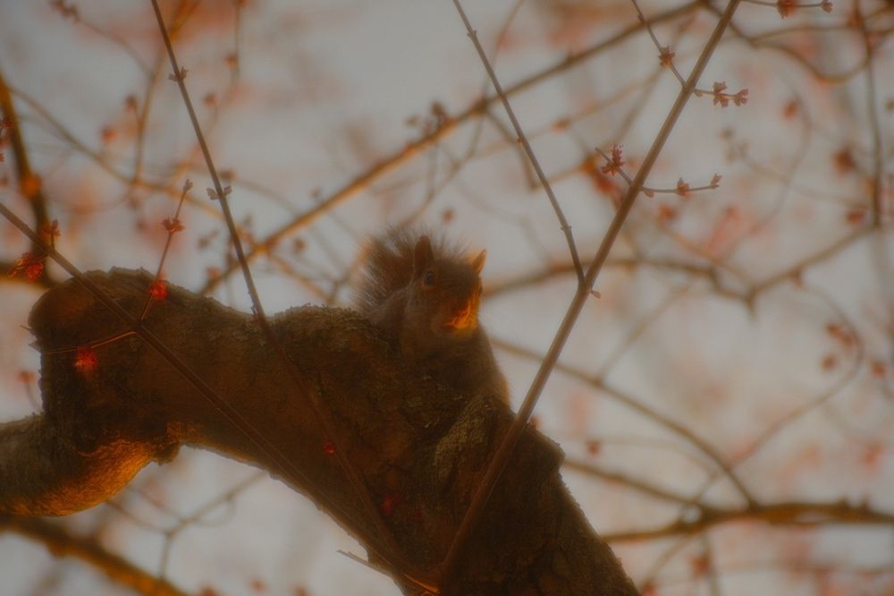 4D280559-824E-4C23-99D8-747D18862E17_1_105_c.jpeg