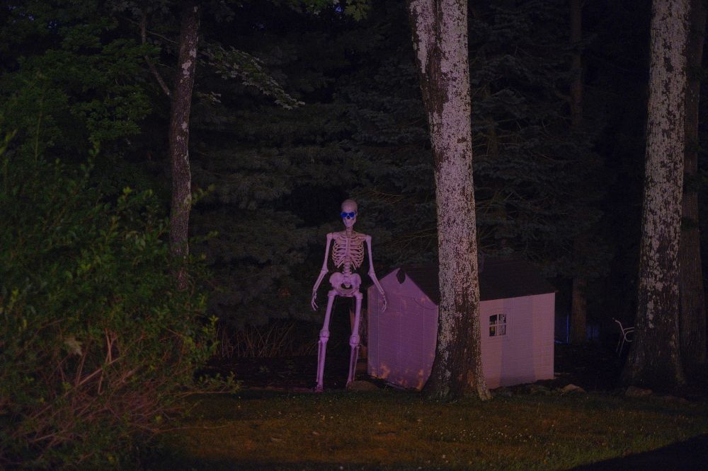 D8E1016F-8454-4E88-8E40-8A90EC059503_1_102_o.jpeg